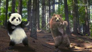 Animal Song Jungle Dance  With Panda Dog Cats and a Bear 2024  By Twiddlie [upl. by Sheffield]