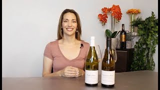 Sancerre vs Sauvignon Blanc [upl. by Romina]