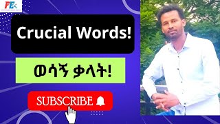 English  Amharic Lesson 04 Vocabulary [upl. by Gena]