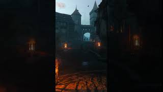 The Witcher 3 Velen City Crowd GamingAmbience ambience GamingAmbience witcher atmosphere [upl. by Gnirol]