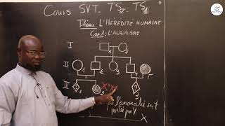 Cours  Terminale S1ampS2  SVT Résumé de cours  Lhérédité humaine  LAlbinisme  Suite 2 [upl. by Corene816]