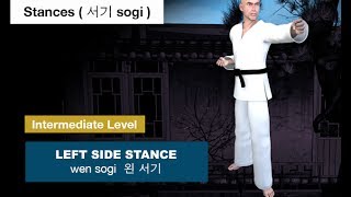 Taekwondo  Left Side Stance  왼 서기 wen sogi [upl. by Ailssa]