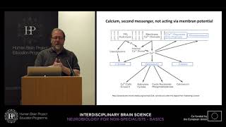 Lecture 2 Christoph Schwarzer  Intracellular signal transduction [upl. by Ohs]