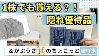 【株主優待生活amp旅】たったの quot1株quot でも貰える？！隠れ優待品届いた1株優待2選＆かぶうさのちょこっと優待旅♪【優待紹介】 [upl. by Skelton]