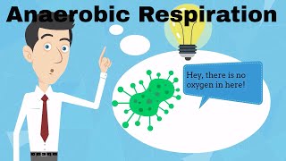 Anaerobic Respiration Fermentation [upl. by Azral]