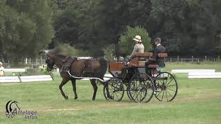 Alessia Jacobs Dressage Championnat de Belgique Booischot 2019 [upl. by Lachus]