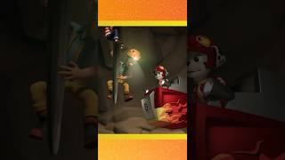 paw patrol rescue wheels 5 shorts [upl. by Ion]