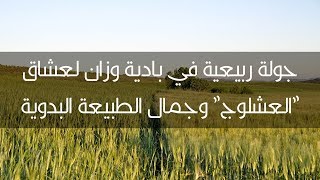 جولة ربيعية في بادية وزان لعشاق العشلوج وجمال الطبيعة البدوية بالمغرب [upl. by Gilletta44]