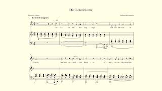 Die Lotosblume accompaniment in F Major  Robert Schumann [upl. by Atiral]