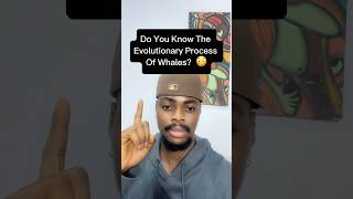 Do You Know The Evolutionary Process Of Whales 😵 shorts [upl. by Mok]