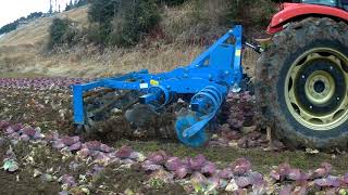 LEMKEN Heliodor9200KSY YANMAR EG105 キャベツ [upl. by Schmitz]