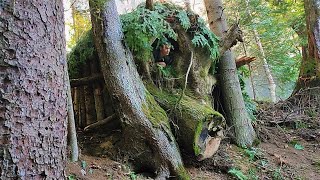 Building Warm Bushcraft Survival Shelter in the Forest Fireplace Catch and Cook Solo Camping [upl. by Lunneta595]