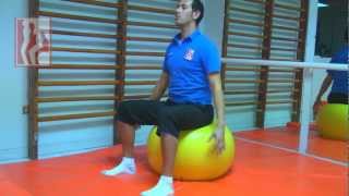 2 Ejercicios para pacientes con Esclerosis Múltiple  Ejercicios con Pelota [upl. by Sarita]