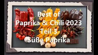 Best of Paprika amp Chili 2023 Teil 3  Süße Paprika [upl. by Onailime]