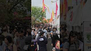 Cabramatta Moon Festival Sydney Australia 🇦🇺 [upl. by Neelhtakyram]