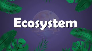 Bio 12  Chapter 25  Ecosystem  Hindi  Urdu [upl. by Holmann872]