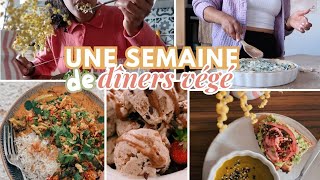 🍕Une Semaine De Dîners 100 Végétariens SPÉCIALE Digestion LÉGÈRE [upl. by Annasus710]