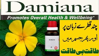 quotDiscovering the Benefits of Damiana Homeopathic Medicine A Natural Remedy for Various Ailmentsquot [upl. by Sarid720]