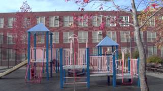 PS 567 Linden Tree Elementary School [upl. by Ruffina427]