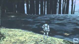 Shadow of the Colossus  Forest temple [upl. by Mylo]