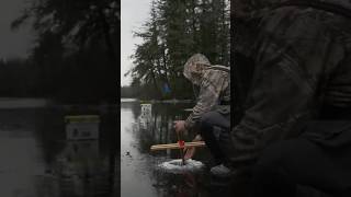 Brook Trout Takes Bait  Ice Fishing [upl. by Leontyne]