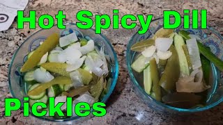 SPICY Hot Dill Pickles the Fast and Easy way [upl. by Golliner508]