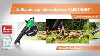 Soffiatore aspiratore elettrico [upl. by Noside550]