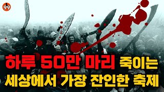 힌두교에서 소를 죽인다고 가디마이 축제 [upl. by Ahsiryt]