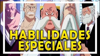 LOS ROLES Y HABILIDADES ESPECIALES DEL GOROSEI  ONE PIECE TEORIA [upl. by Ecitnerp149]