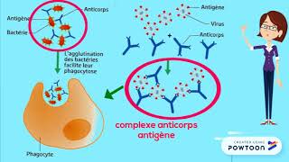 Réaction immunitaire spécifique [upl. by Eittam]