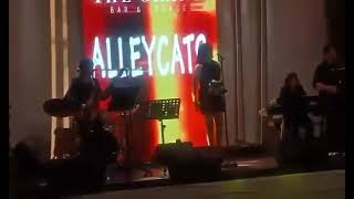 the Alleycats at the Grand Bar Gold  Spandau Ballet [upl. by Eimmaj]