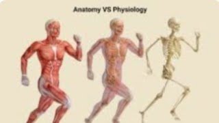 Difference between Anatomy amp Physiology medicalstudent [upl. by Ayhdiv]