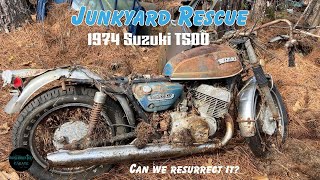 1974 Suzuki T500 ABANDONED in the JUNKYARD  Getting it to Run Again Our Biggest Challenge so far [upl. by Flinn875]