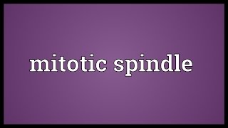 Mitotic spindle Meaning [upl. by Siletotsira]