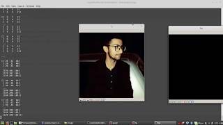 Image masking python opencv [upl. by Llenrep921]