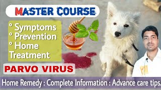 Master course  Parvo virus in dogs  Homemade treatment [upl. by Noryk]