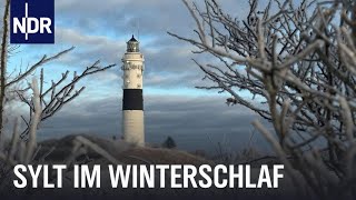 Sylt im Winter  Auszeit vom Saisontrubel  Nordseereport  NDR Doku [upl. by Brinna]