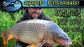 Carp Fishing with Boilies Pop ups and PVA bags  TAFishing [upl. by Araccat363]