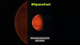 How many Moons does Mars have spacefacts spacelovers solarsystem planets moon [upl. by Stultz]