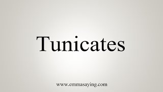 How To Say Tunicates [upl. by Eelinnej]