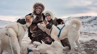 Epic Dogsledding and Fire Coffee  Ilulissat Greenland [upl. by Reprah564]