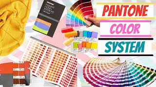 How to Find Pantone Color in Illustrator and Convert Pantone Colors in 2022 [upl. by Zennas]