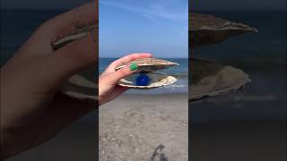 LOOKING FOR FIDGETS at the BEACH 🌊😱🐢 strange amazon fidgets [upl. by Esinnej]