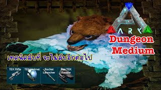 EP93 ลงดันเจี้ยน Affluent Halls of Solitude กันเถอะ  บอกเทคนิคทั้งหมดที่ควรรู้ dungeonarkmobile [upl. by Simone]