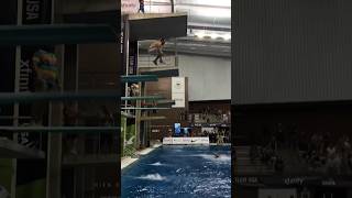 The reason why I love diving🤩 Part 3 olympicdream Diving sportsfunny [upl. by Llemij]