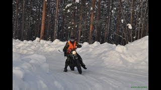 MCOrdonnans Vinter  Swedish Home Guard Hemvärnet [upl. by Myo]