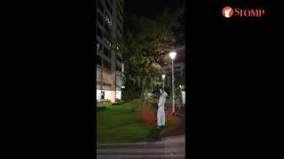 Pest control worker exterminates bees in Sengkang [upl. by Riay252]