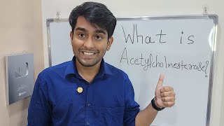 Learn What is Acetylcholinesterase   Acetylcholinesterase kya hai  in Biology [upl. by Eneluqcaj]