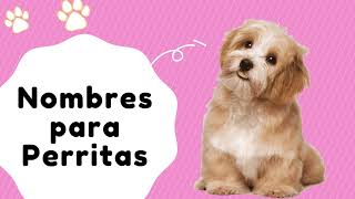 🐕Hermosos nombres para Perritas 🐕 [upl. by Annehs]