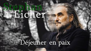 Stephan Eicher Déjeuner en paix Karaoke [upl. by Eltsirk]